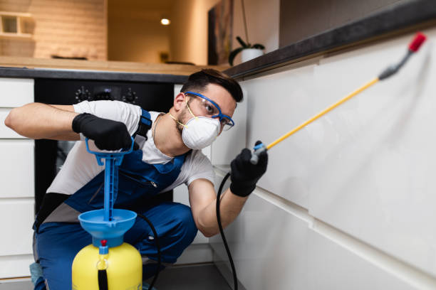 Best Local Pest Control Services  in Wrightstown, WI