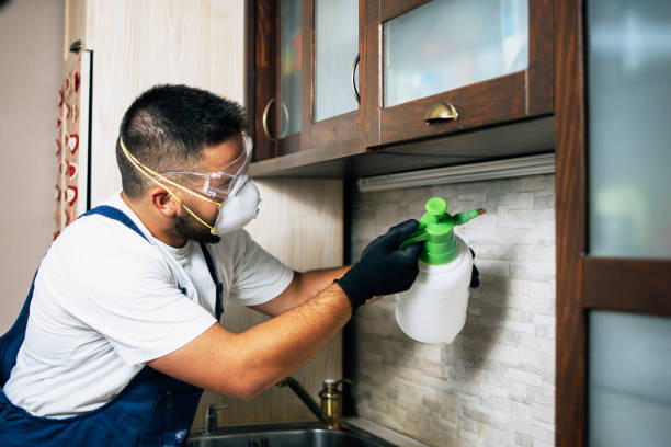 Best Cockroach Control Services  in Wrightstown, WI