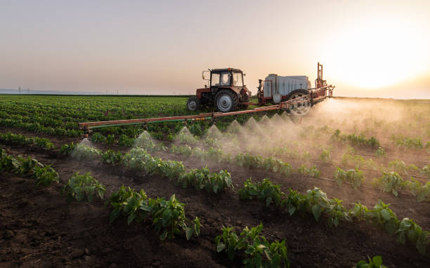 Best Pest Prevention Services  in Wrightstown, WI