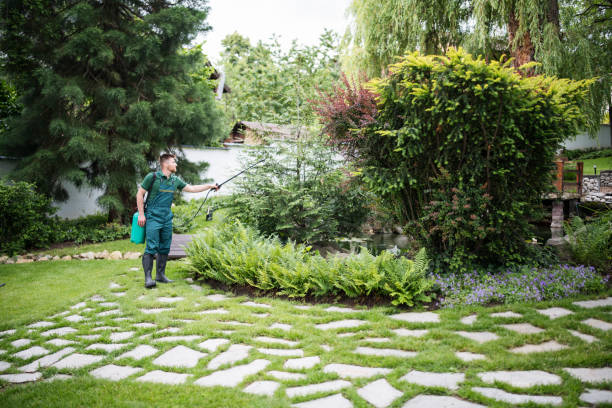 Best Local Pest Control Services  in Wrightstown, WI