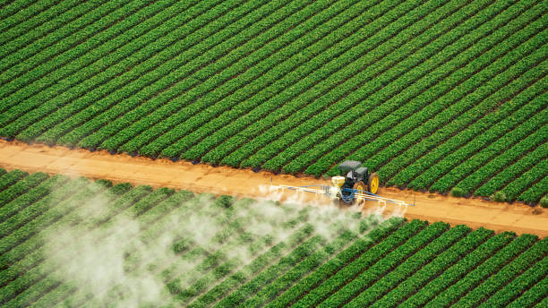 Best Ant Control Services  in Wrightstown, WI