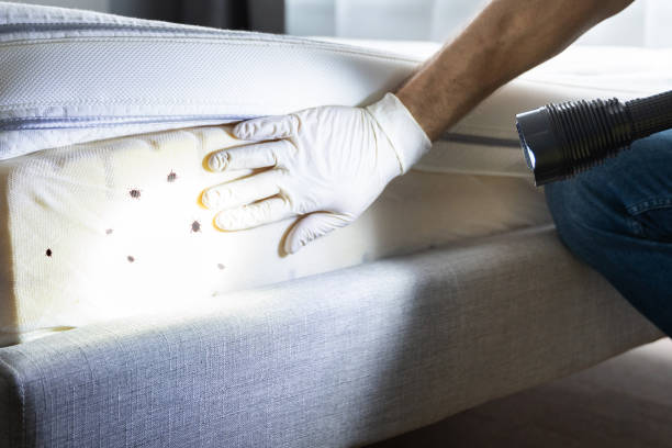 Best Flea Control Services  in Wrightstown, WI