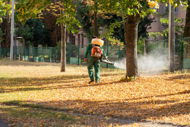 Best Flea Control Services  in Wrightstown, WI