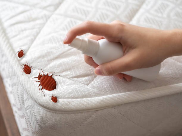 Best Wasp Removal Services  in Wrightstown, WI