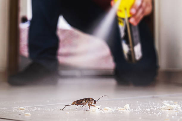 Wildlife Control Services in Wrightstown, WI