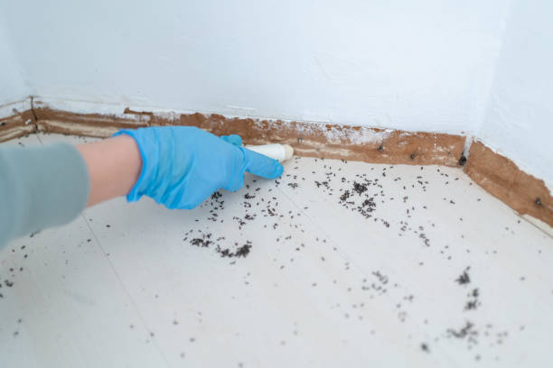 Best Wildlife Control Services  in Wrightstown, WI